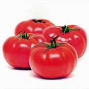 Pomidor Troy F1 - Nasiona Holenderskie