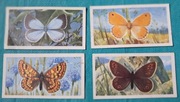 Kolekcjonerskie karty z herbat. Seria: British Butterflies - 4 szt.