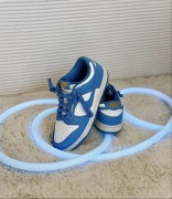 Buty Nike Dunk Low Coast (Women's) roz. 36