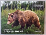 Moneta 5 UAH 2022 Czarnobyl. Odrodzenie. Niedźwiedź brunatny
