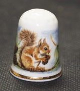 Naparstek Kolekcjonerski Porcelanowy wiewiórka