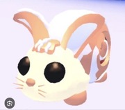 Bunny Swirl - Adopt Me Roblox