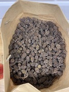 Szyszki olchy mega paczka