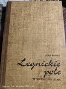 Legnickie pole Zofia Kossak