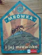 Mrówka i jej mrowisko