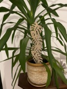 Pergola doniczkowa idealna podpora kwiatów