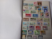 KLASER  WSPÓLNOTA BRYT. - KOLONIE  CZYSTE**