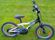 Dziecięcy rower Giant Animator 16