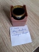 Bajka na rzutnik O kocie który chadzał własnymi drogami