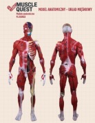 model anatomiczny człowieka – 3D - Układ mięśniowy + karty opisowe anatomia