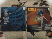 Piękne głosy piękne arie i Lehar - zestaw 2 płyt winylowych