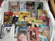 Magazyn kot /Kocie sprawy szt13 Koty i kocięta/ Rady dla Doskonały  x18 