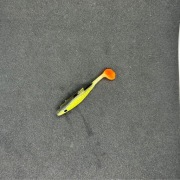 Płotka 6,5cm Oliwka Czerń