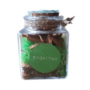 SŁOICZEK BOGACTWO 50ml