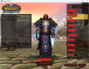 Konto Warmane Icecrown 8x80 wszystkie profesje Aliance