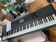 Pianino cyfrowe z aranżerem KORG Havian - stan bardzo dobry