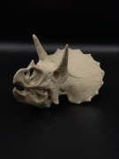 Czaszka ozdobna triceratops