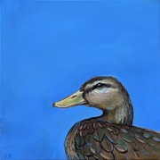 Obraz olejny ptak kaczka na niebieskim tle 40*40 cm 