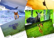 Kalendarz Przyroda Warmii