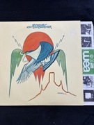 Eagles On The Border