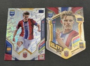 Karty kolekcjonerskie panini 