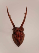 Rogi, rożki, trofeum, poroże