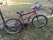 Rower do odświeżenia (Castilla Jaguar Flash Bike)