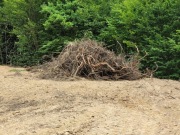 Drewno chrust oddam za darmo