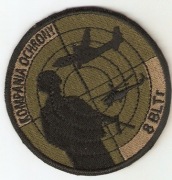 Naszywka kompanii ochrony z 8 BLTr.