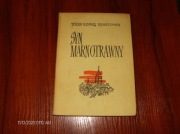 Syn marnotrawny Józef Ignacy Kraszewski