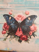 Duża Termo naprasowanka czarny motyl w różach