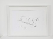 Oryginalny Rysunek Grafitem - "Martwa Natura - Owoce" (40x50 cm, w ramie)