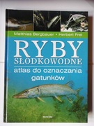 Ryby słodkowodne atlas do oznaczania gatunków Bergbauer
