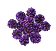 Polskie naturalne SZYSZKI SOSNOWE Florystyka Dekor Stroik 12 szt. fiolet.