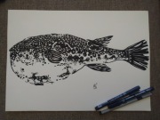 Rysunek: ryba - cienk - blok t. A3 250 g/m2