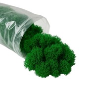 Mech chrobotek ściółka resztki 1kg fiński premium zielony