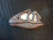 Dinozaur allozaur czaszka na ścianę 