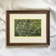 Akwarela Akwarelka Obraz „Subtelność” – Autorska, Jedyny Egzemplarz