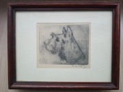 Stanisław Dawski akwaforta Terier szkocki