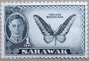 Znaczek czysty Sarawak stan **rzadki slad podlepki