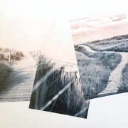 plakat obrazy pastele boho plaża beż trawa 