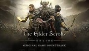The elder scrolls online 