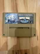 Super Donkey Kong 3 Super Famicom SFC SNES