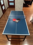Stół do ping ponga 