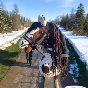 Hobby Horse Konik na kijku zestaw - Brenda + METRYCZKA i MARCHEWKA 