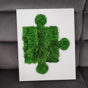 Obraz żywy mech chrobotek puzle ozdoba 50x40cm 