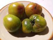 Krasnaja Mishen pomidor kolekcjonerski