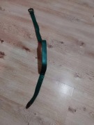 Piękny zielony pasek.