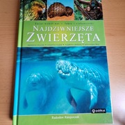 Najdziwniejsze zwierzęta 