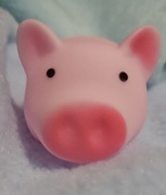 Piszcząca mini świnka do treningu